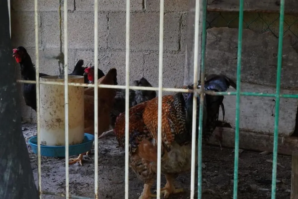 Rancho San Jose Villa Leona Vicario